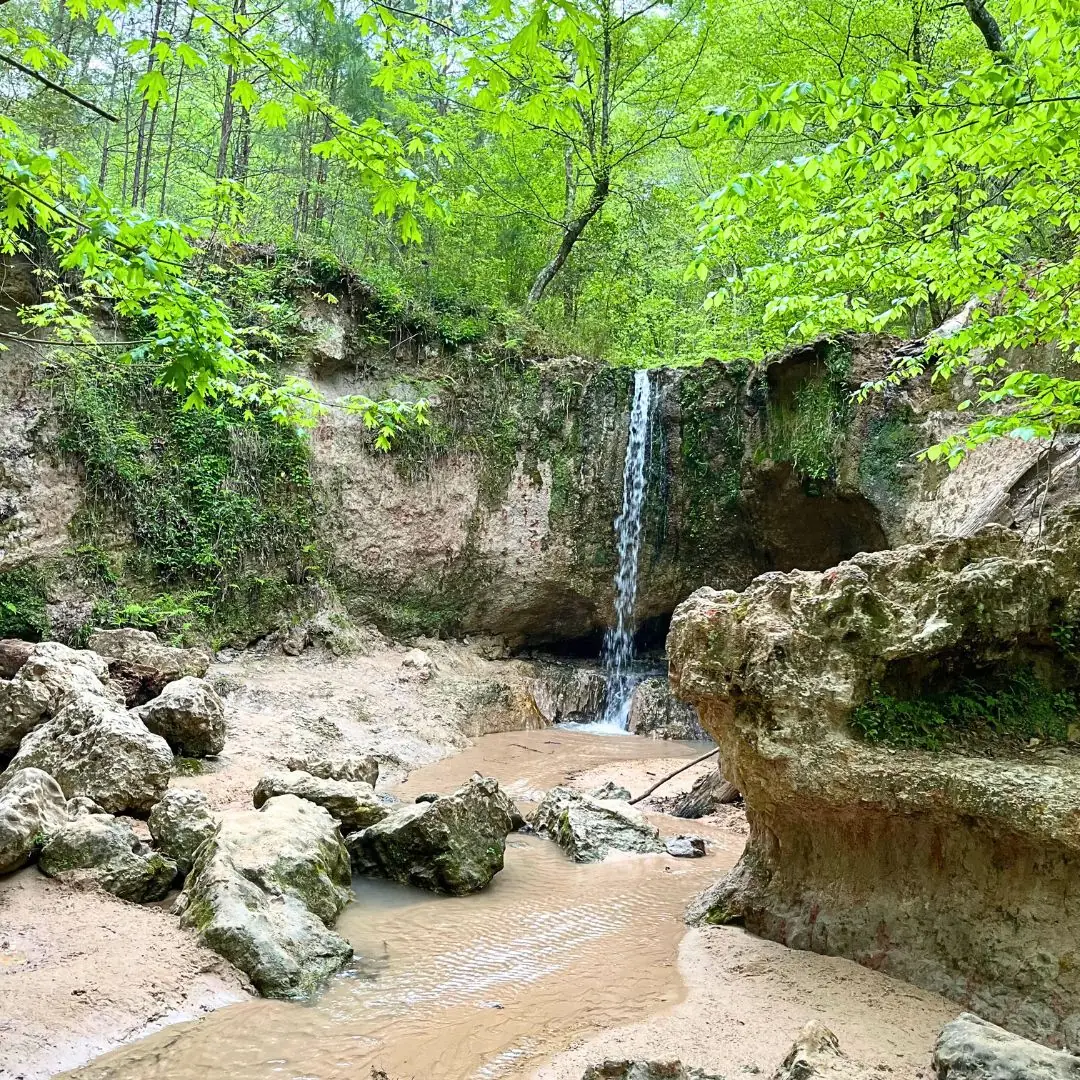 Clark Creek Natural Area near St. Francisville, Louisiana