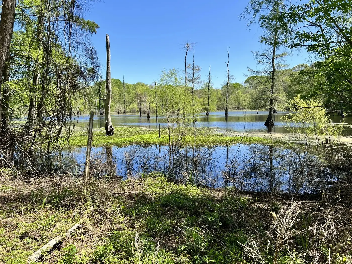 St. Catherines Creek National Wildlife Refuge near St. Francisville, Louisiana